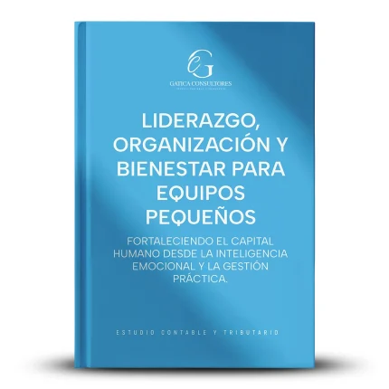 gatica consultores estudio contable y tributario_img_0010